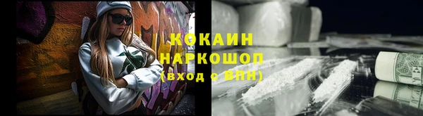 соль ск Абаза