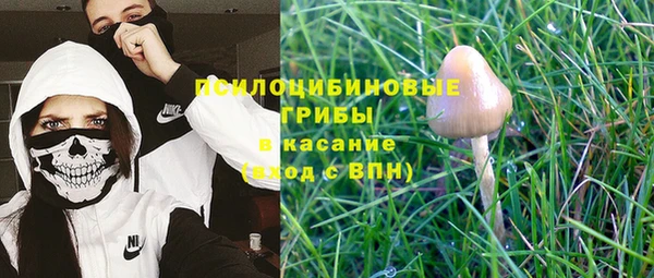 соль ск Абаза