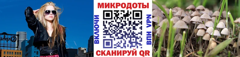 где найти наркотики  Весьегонск  Галлюциногенные грибы ЛСД 